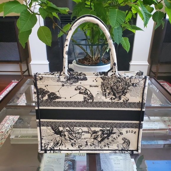 Limited Edition Dior Book Tote Medium - Picture 2 of 4